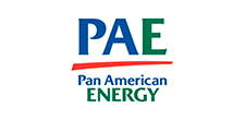 Logo Pan American Energy